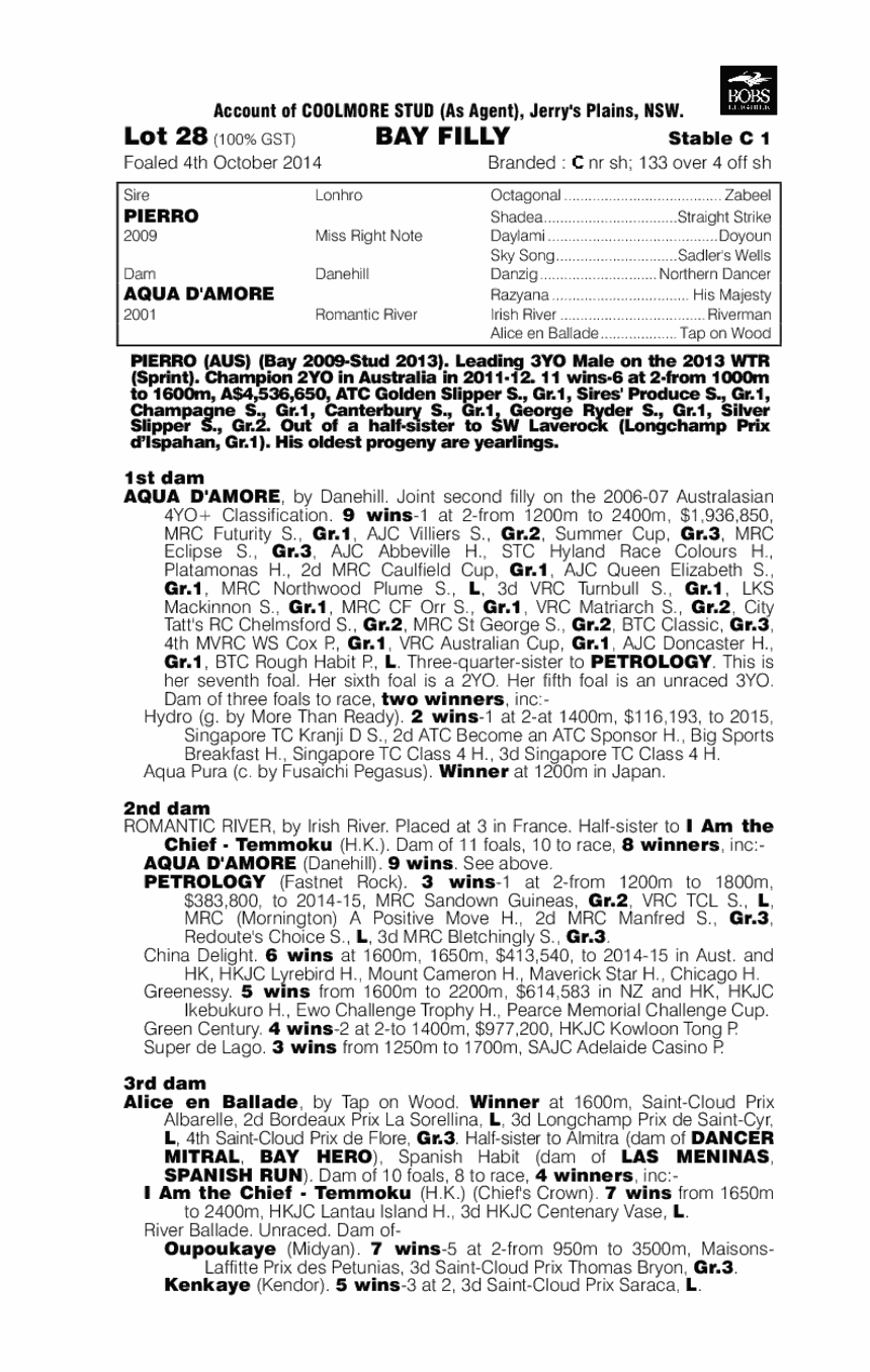 Pierro (AUS) / Aqua D'amore (AUS) - pedigree
