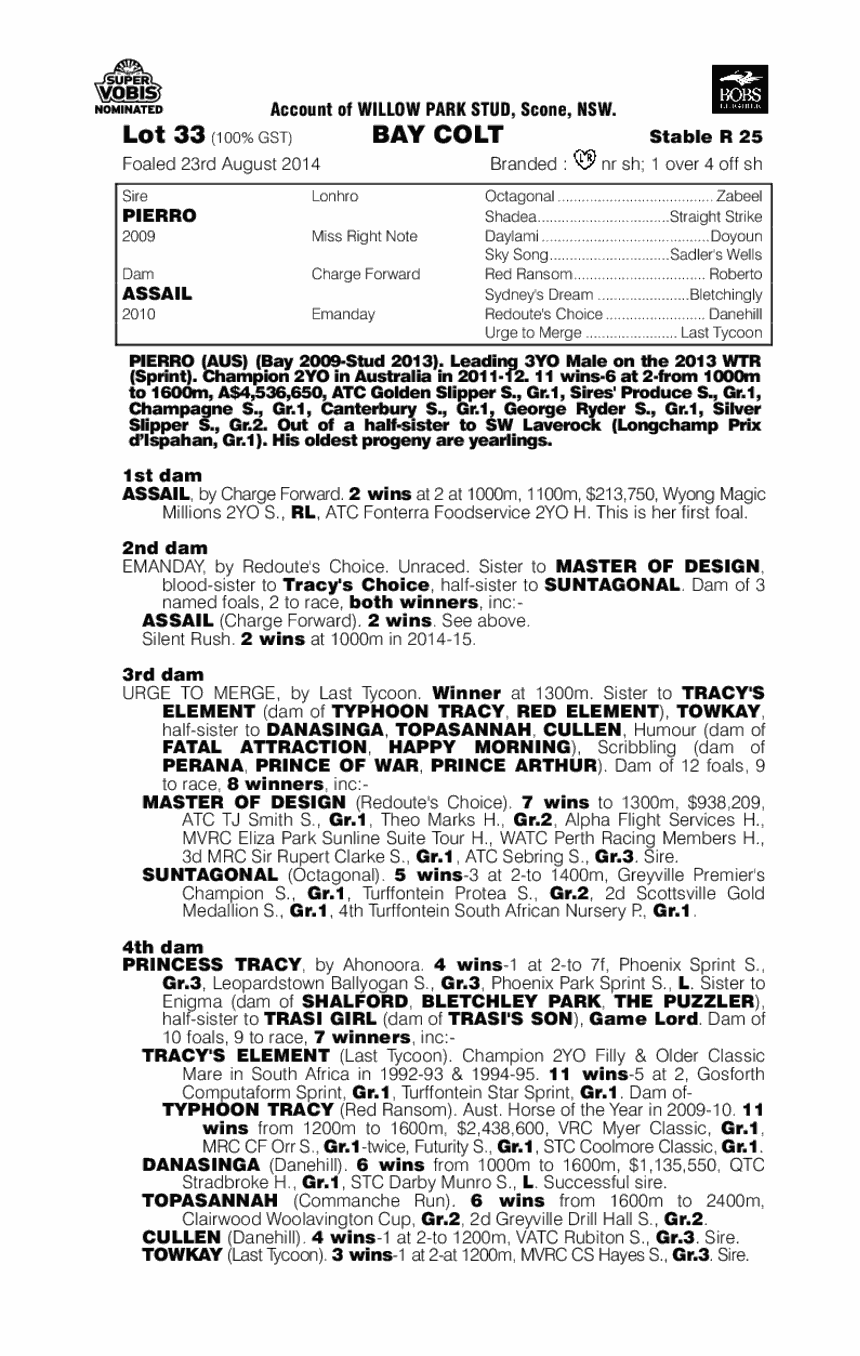 Pierro (AUS) / Assail (AUS) - pedigree