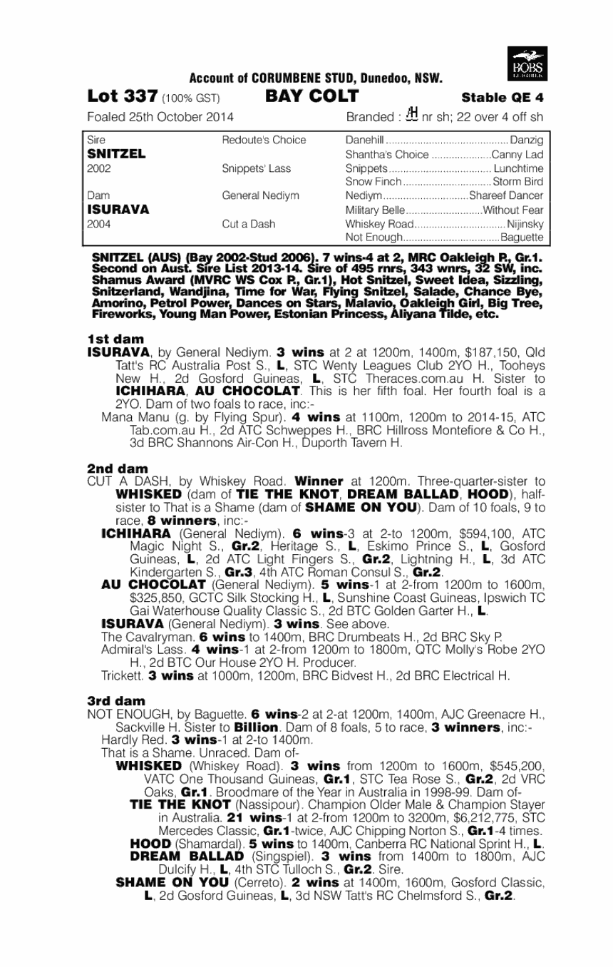 Snitzel (AUS) / Isurava (AUS) - pedigree