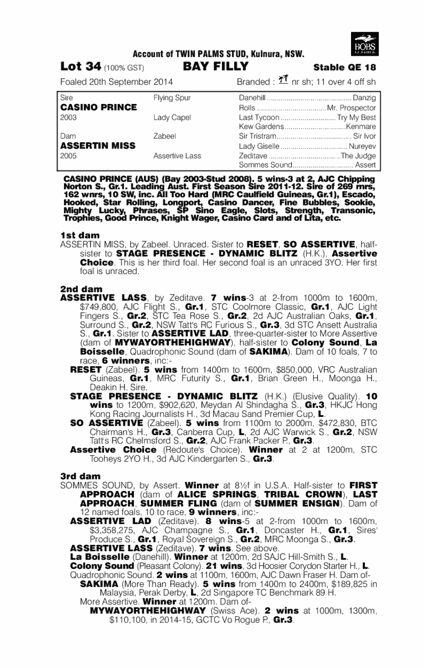 Casino Prince (AUS) / Assertin Miss (AUS) - pedigree