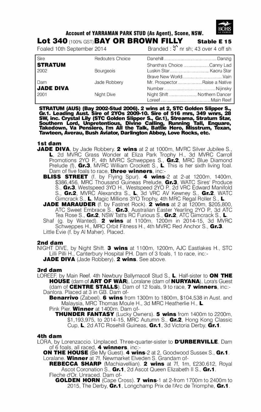 Stratum (AUS) / Jade Diva (AUS) - pedigree