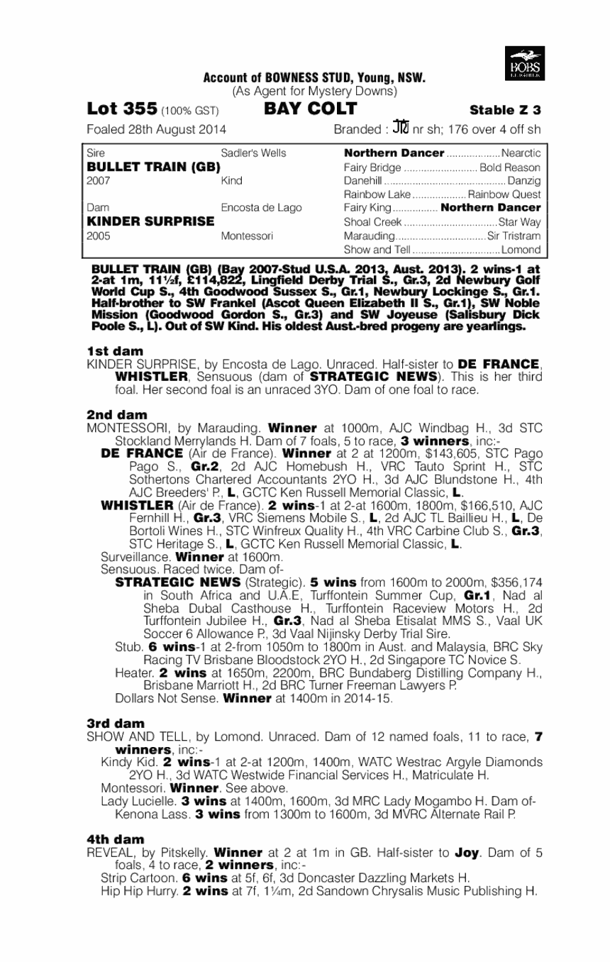 Bullet Train (GB) / Kinder Surprise (AUS) - pedigree