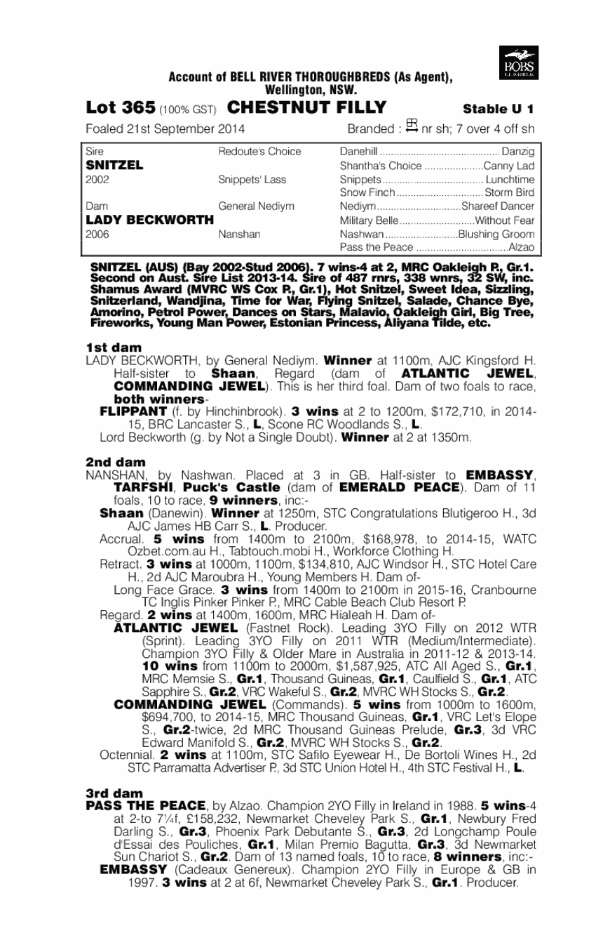 Snitzel (AUS) / Lady Beckworth (AUS) - pedigree