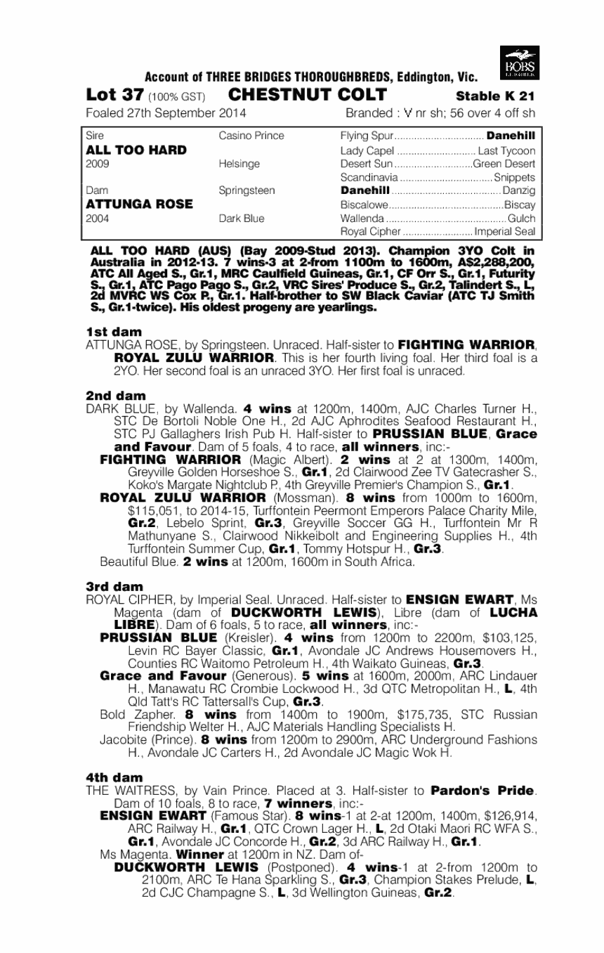 All Too Hard (AUS) / Attunga Rose (AUS) - pedigree