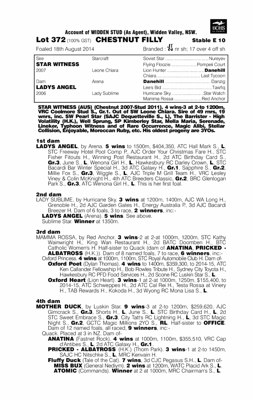 Star Witness (AUS) / Ladys Angel (AUS) - pedigree