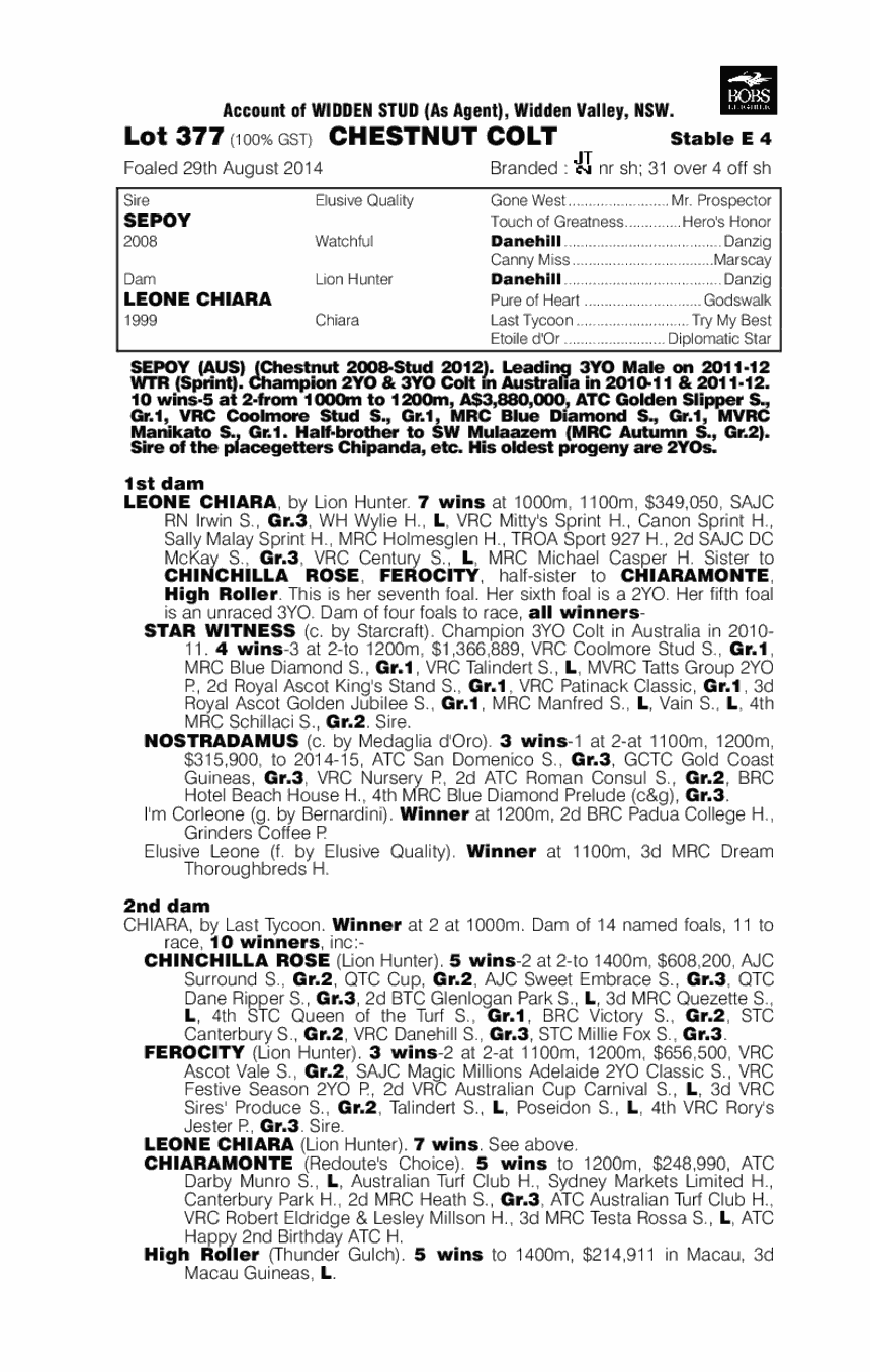 Sepoy (AUS) / Leone Chiara (AUS) - pedigree