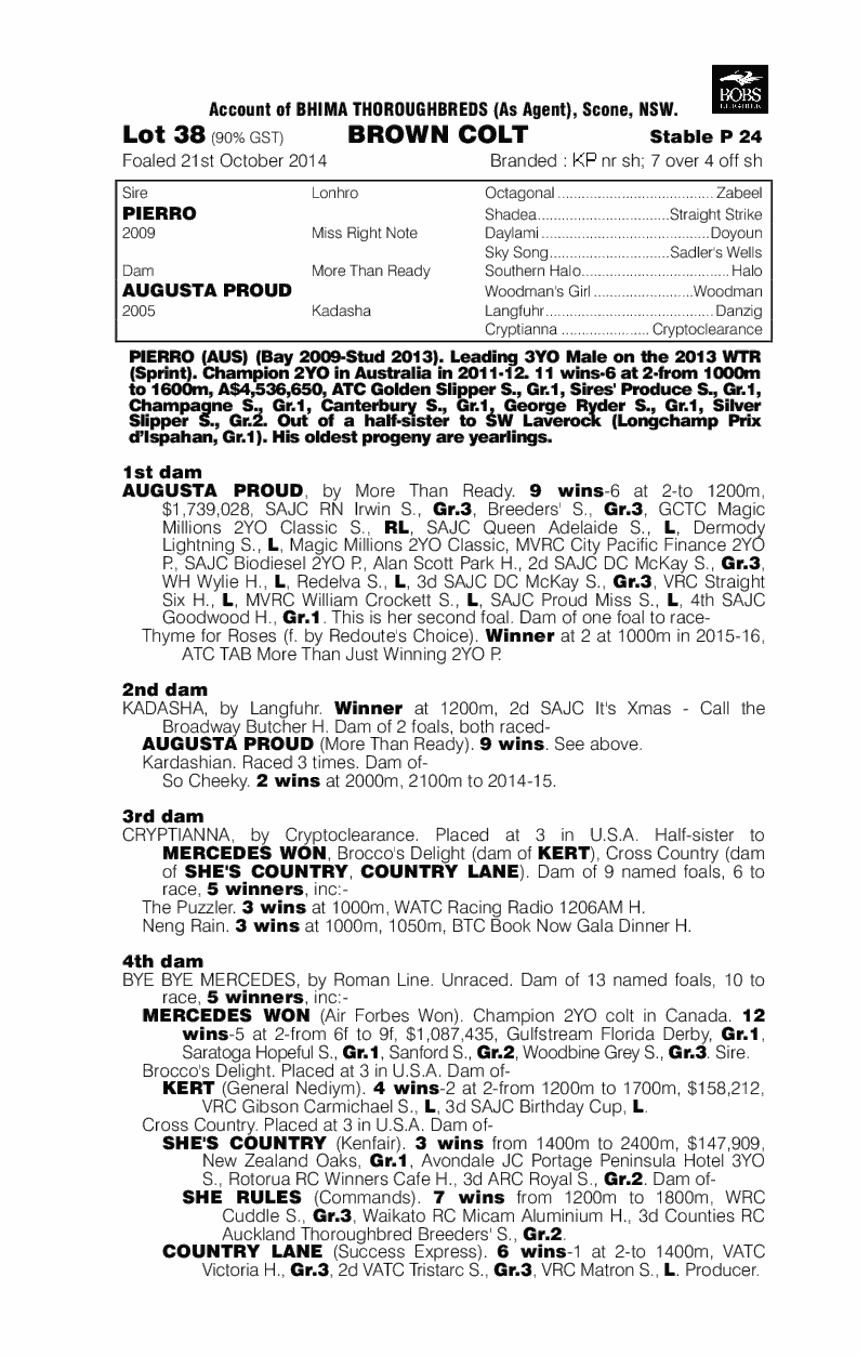 Pierro (AUS) / Augusta Proud (AUS) - pedigree