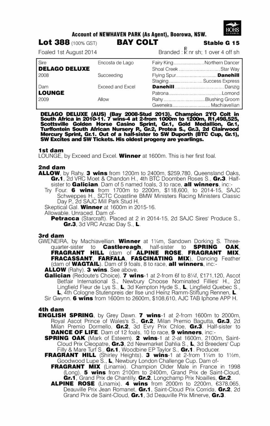 Delago Deluxe (AUS) / Lounge (AUS) - pedigree