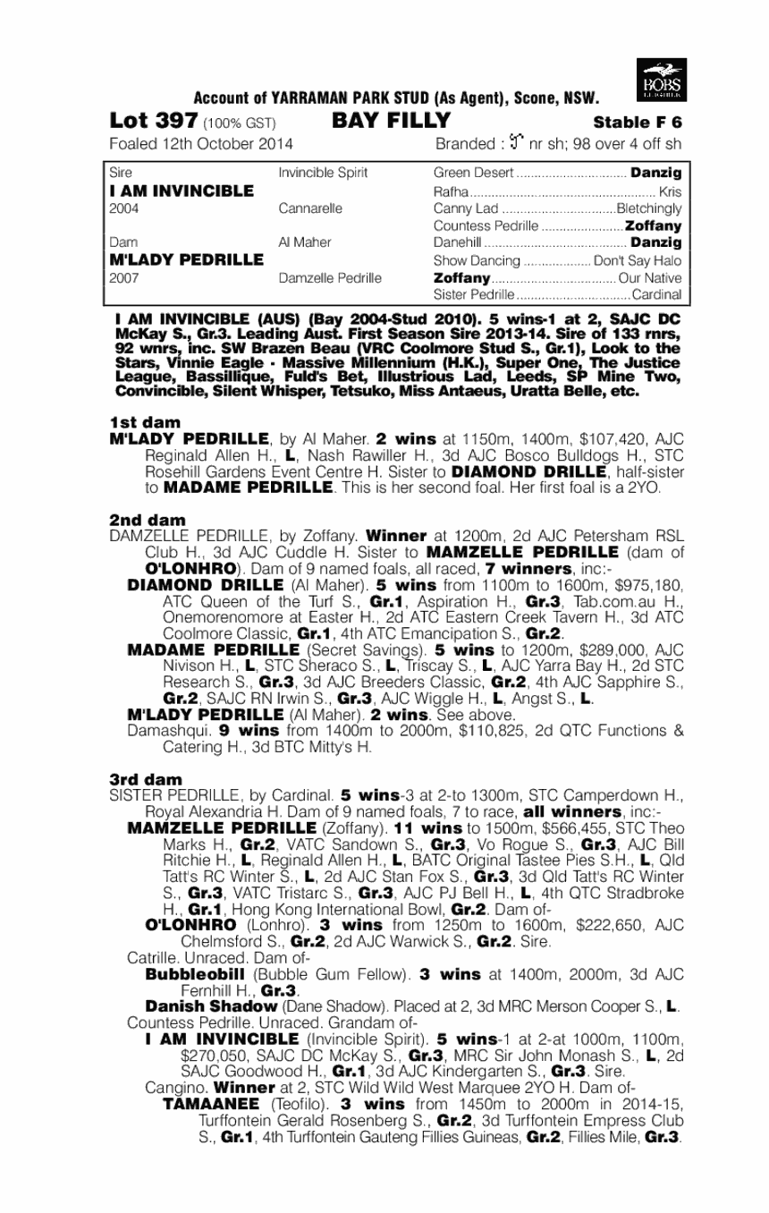 I Am Invincible (AUS) / M'Lady Pedrille (AUS) - pedigree