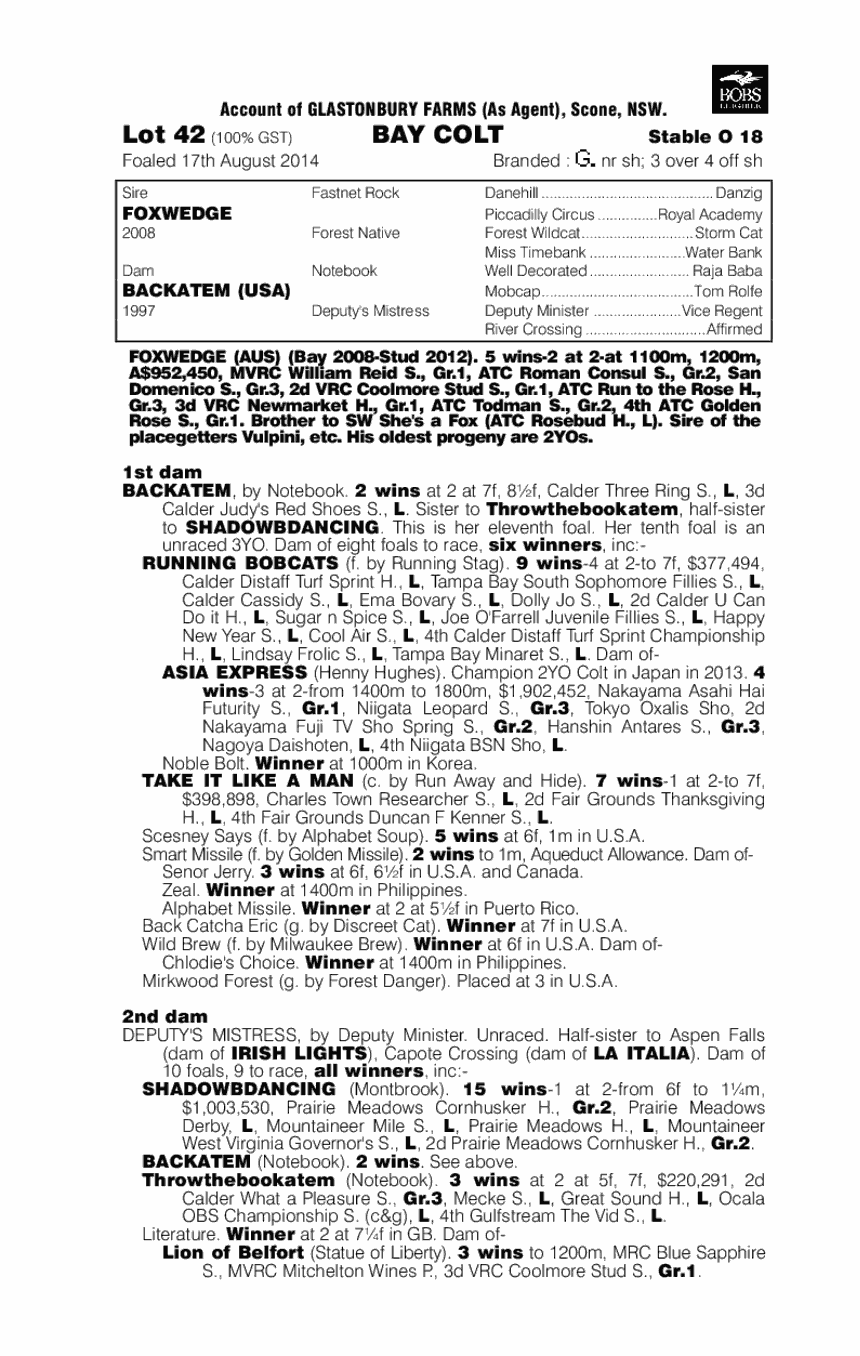 Foxwedge (AUS) / Backatem (USA) - pedigree
