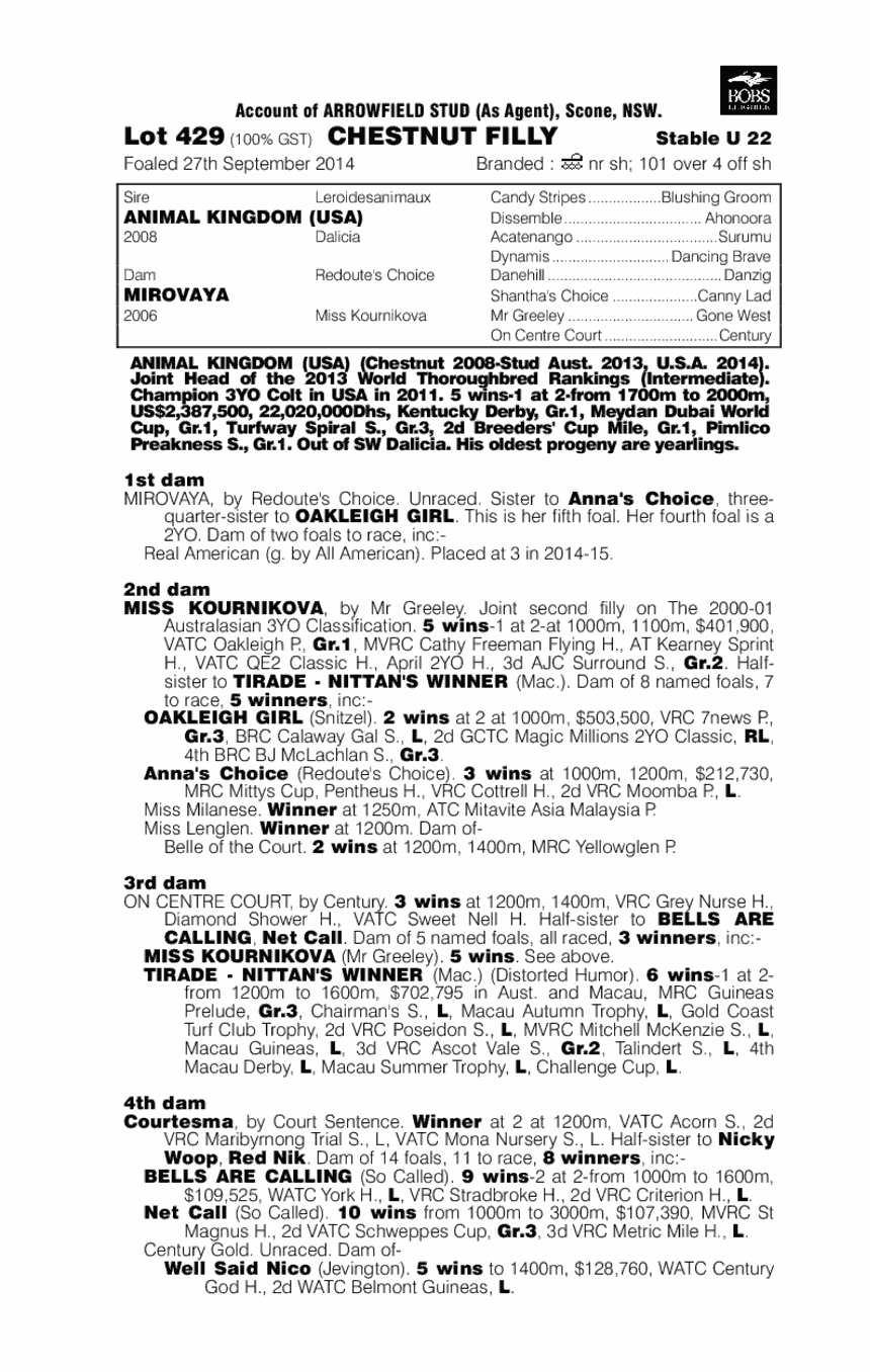 Animal Kingdom (USA) / Mirovaya (AUS) - pedigree