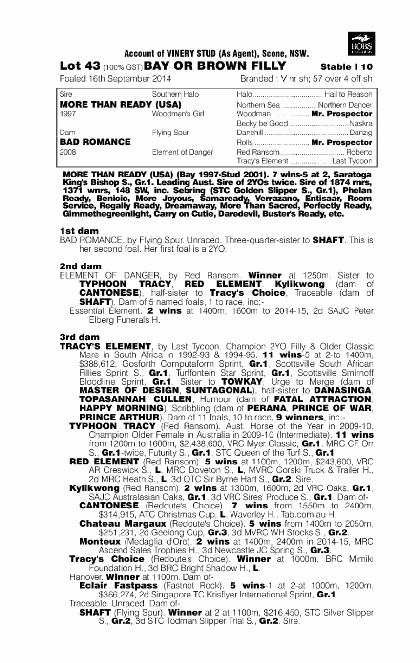 More Than Ready (USA) / Bad Romance (AUS) - pedigree