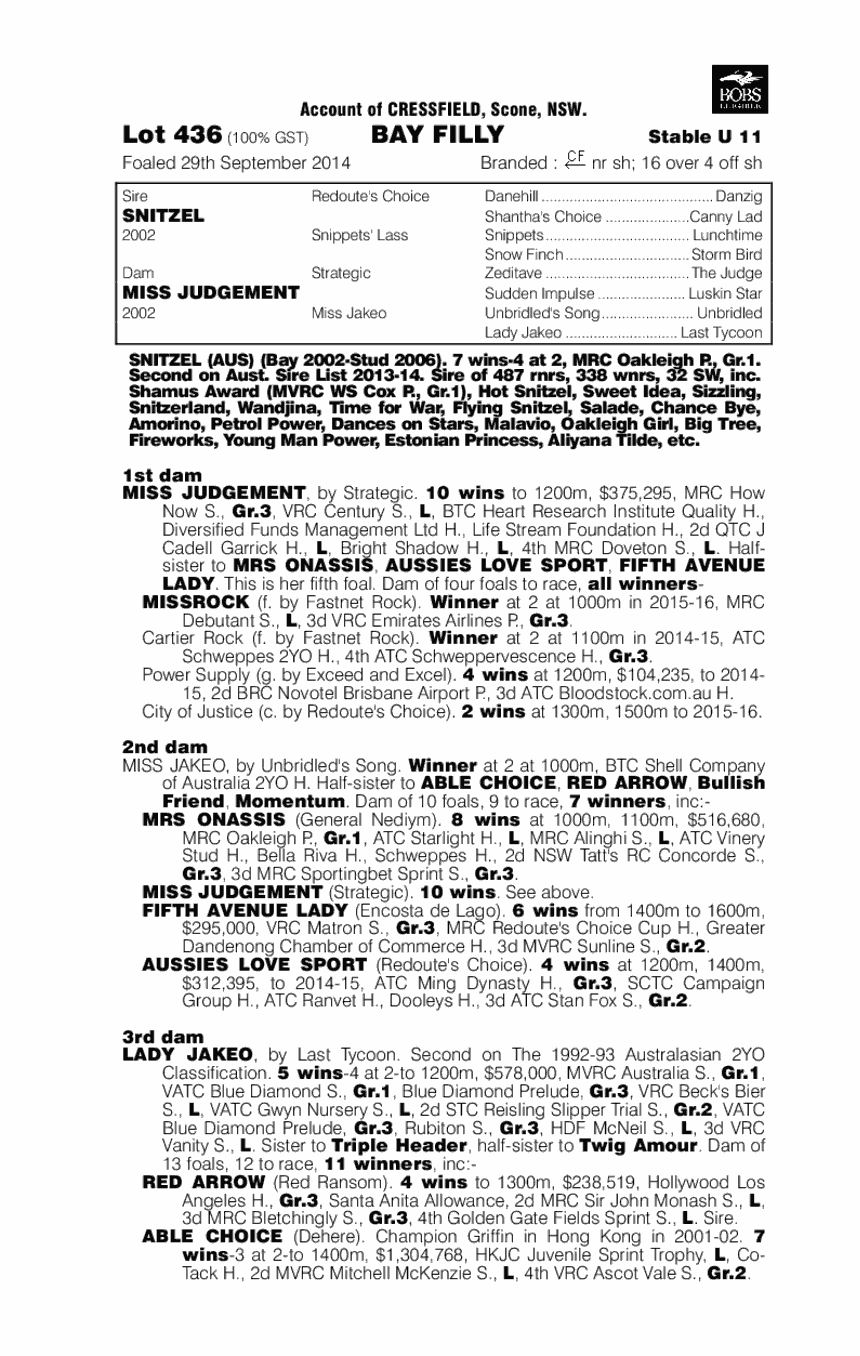 Snitzel (AUS) / Miss Judgement (AUS) - pedigree