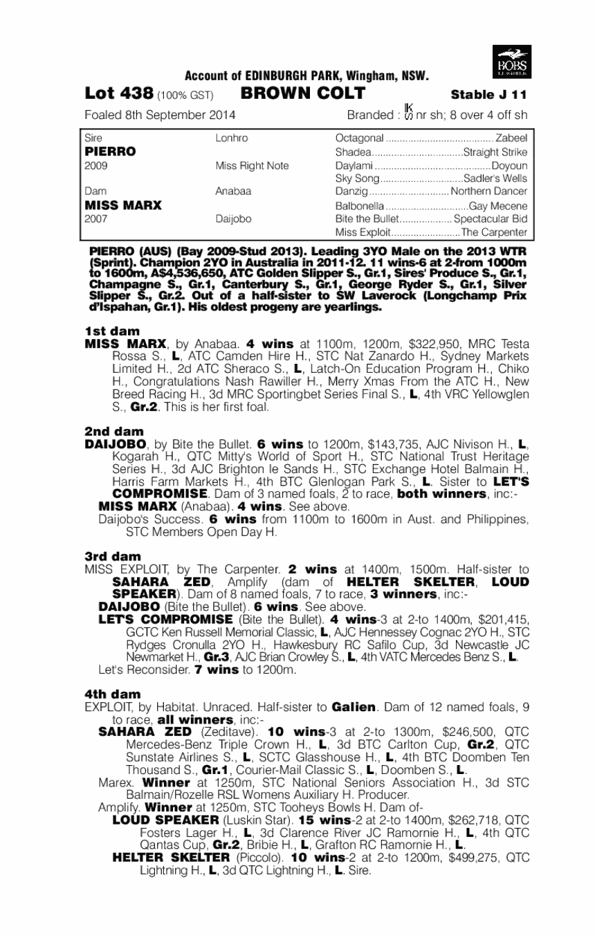 Pierro (AUS) / Miss Marx (AUS) - pedigree