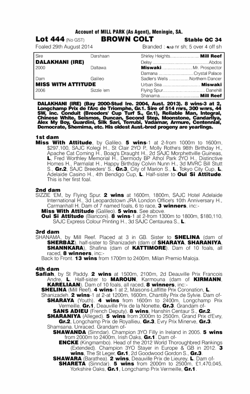 Dalakhani (IRE) / Miss With Attitude (AUS) - pedigree