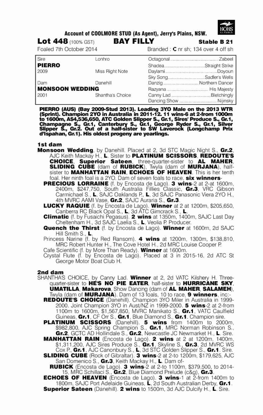 Notting Hill (AUS) - pedigree