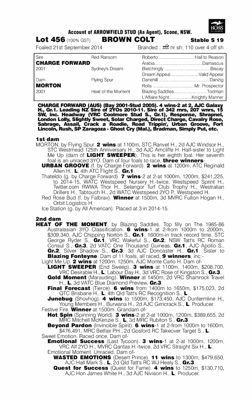 Charge Forward (AUS) / Morton (AUS) - pedigree