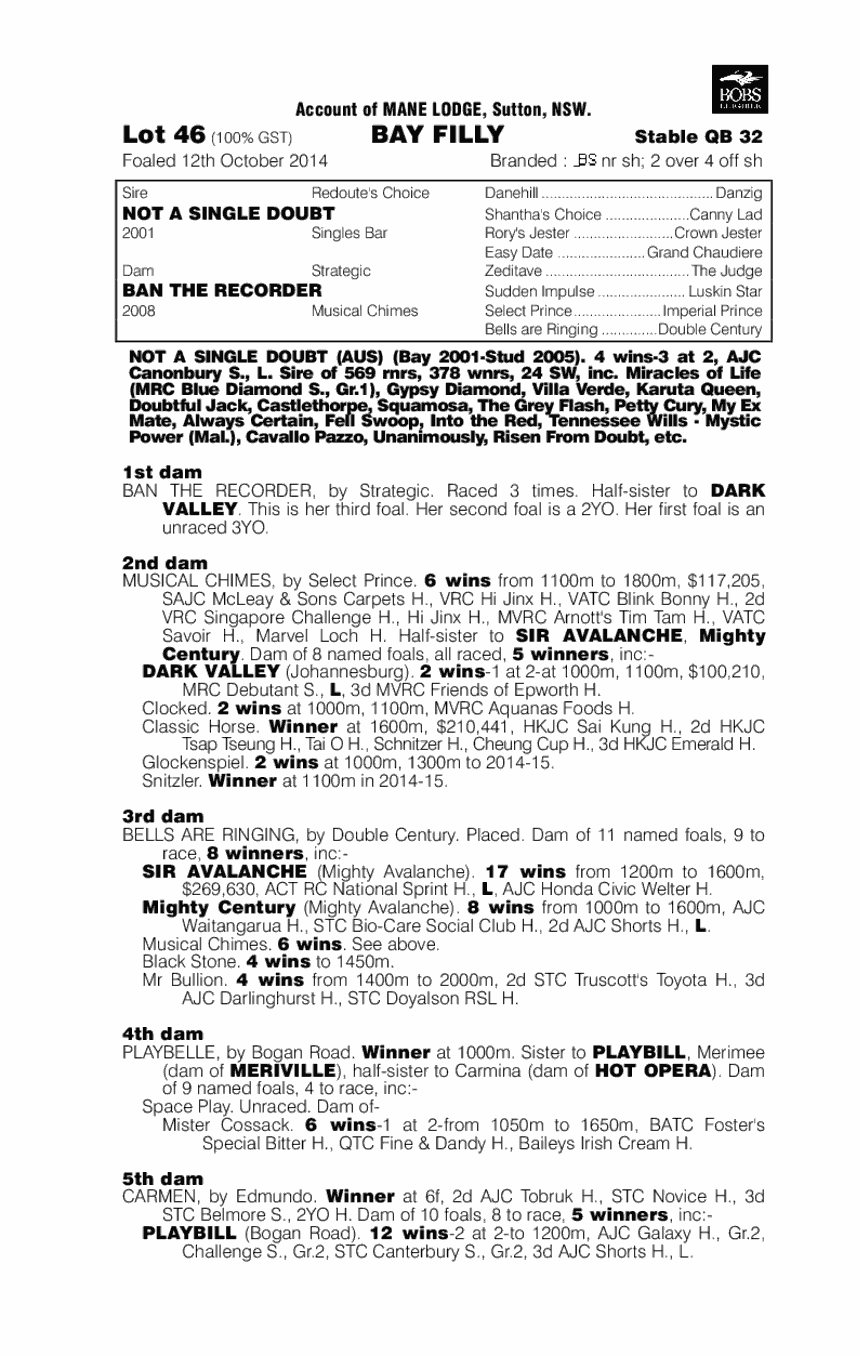 Not A Single Doubt (AUS) / Ban The Recorder (AUS) - pedigree