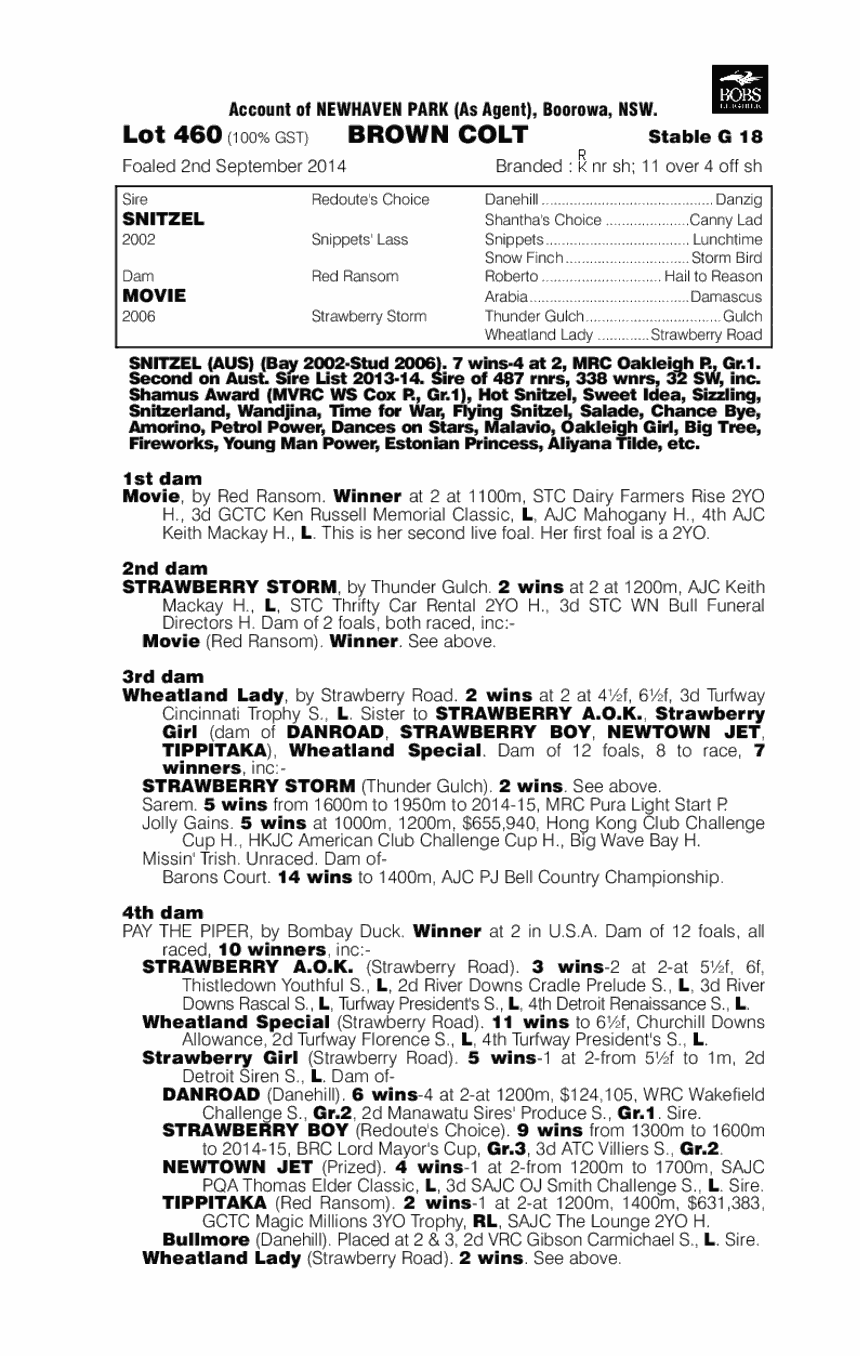 Snitzel (AUS) / Movie (AUS) - pedigree