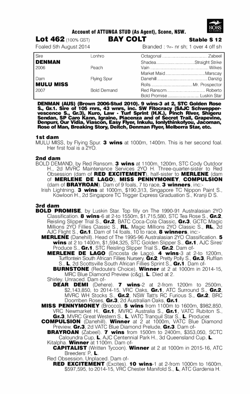 Denman (AUS) / Mulu Miss (AUS) - pedigree