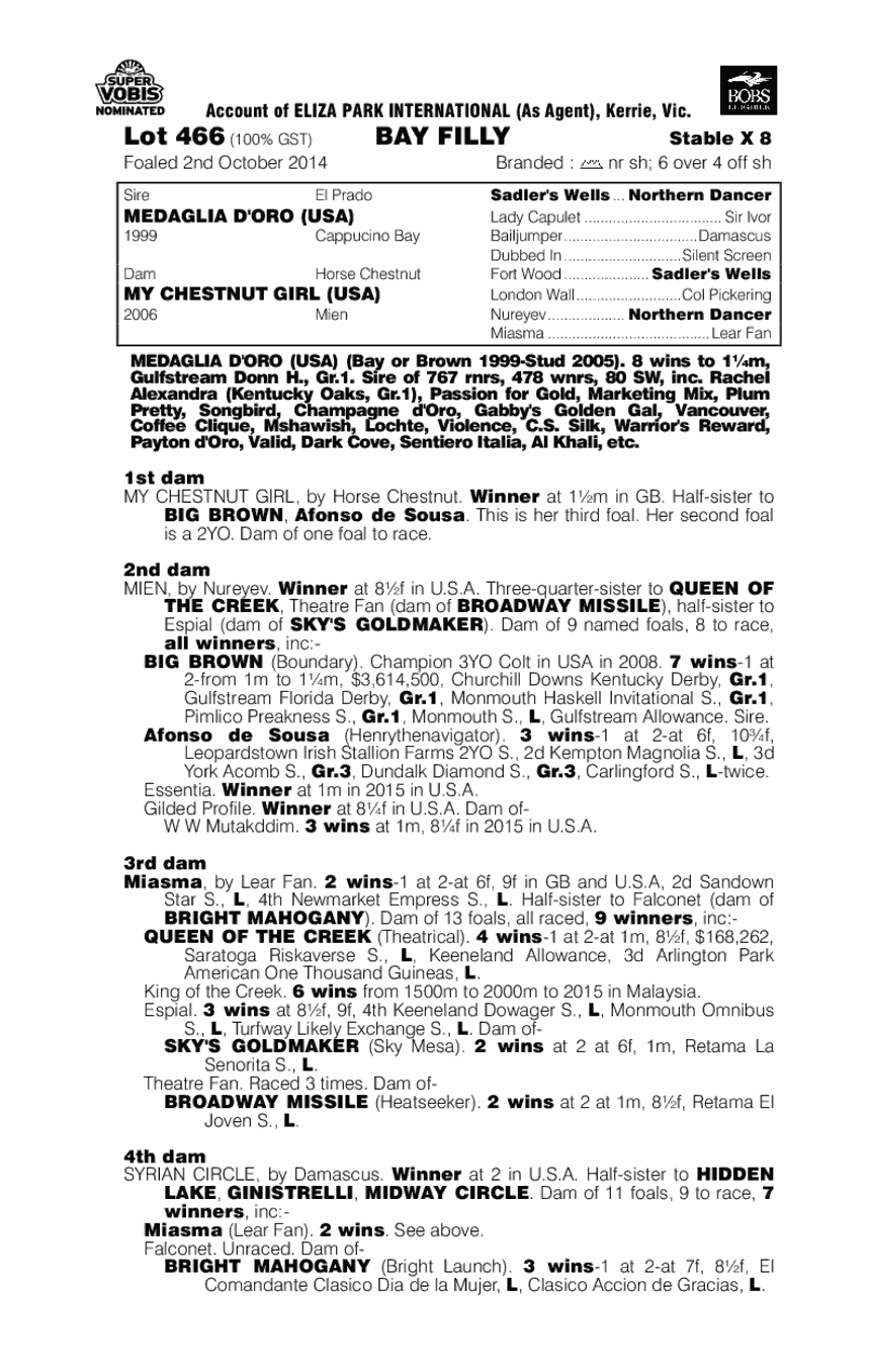 Medaglia D'oro (USA) / My Chestnut Girl (USA) - pedigree