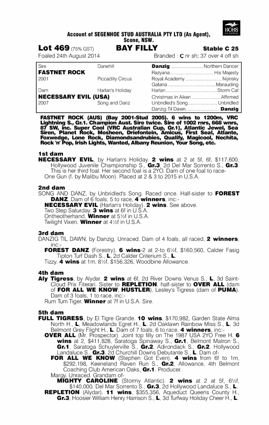 Fastnet Rock (AUS) / Necessary Evil (USA) - pedigree