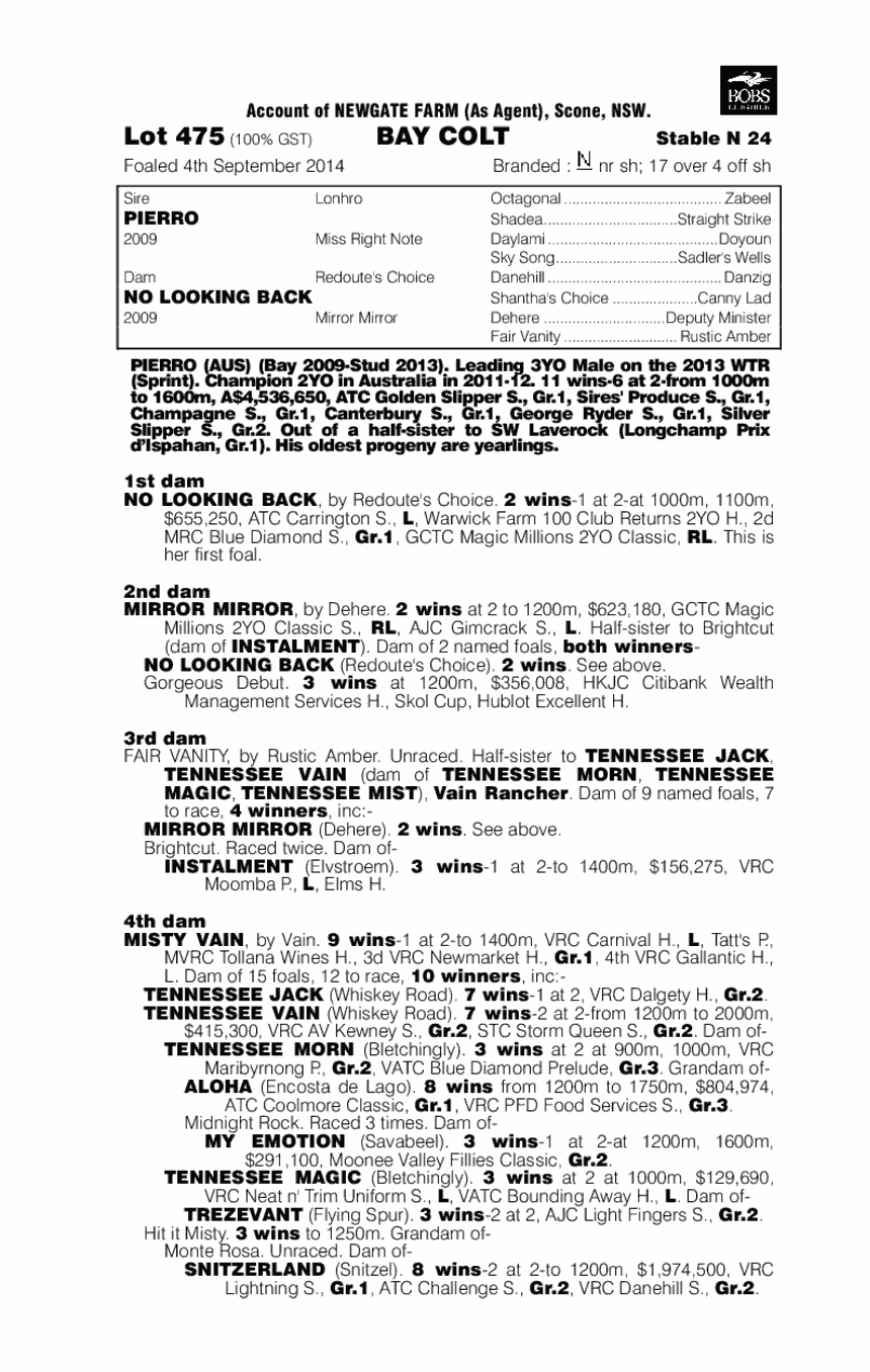 Pierro (AUS) / No Looking Back (AUS) - pedigree