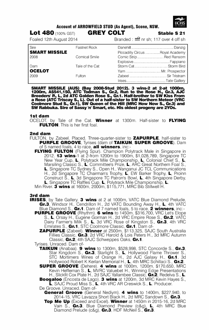 Smart Missile (AUS) / Ocelot (AUS) - pedigree