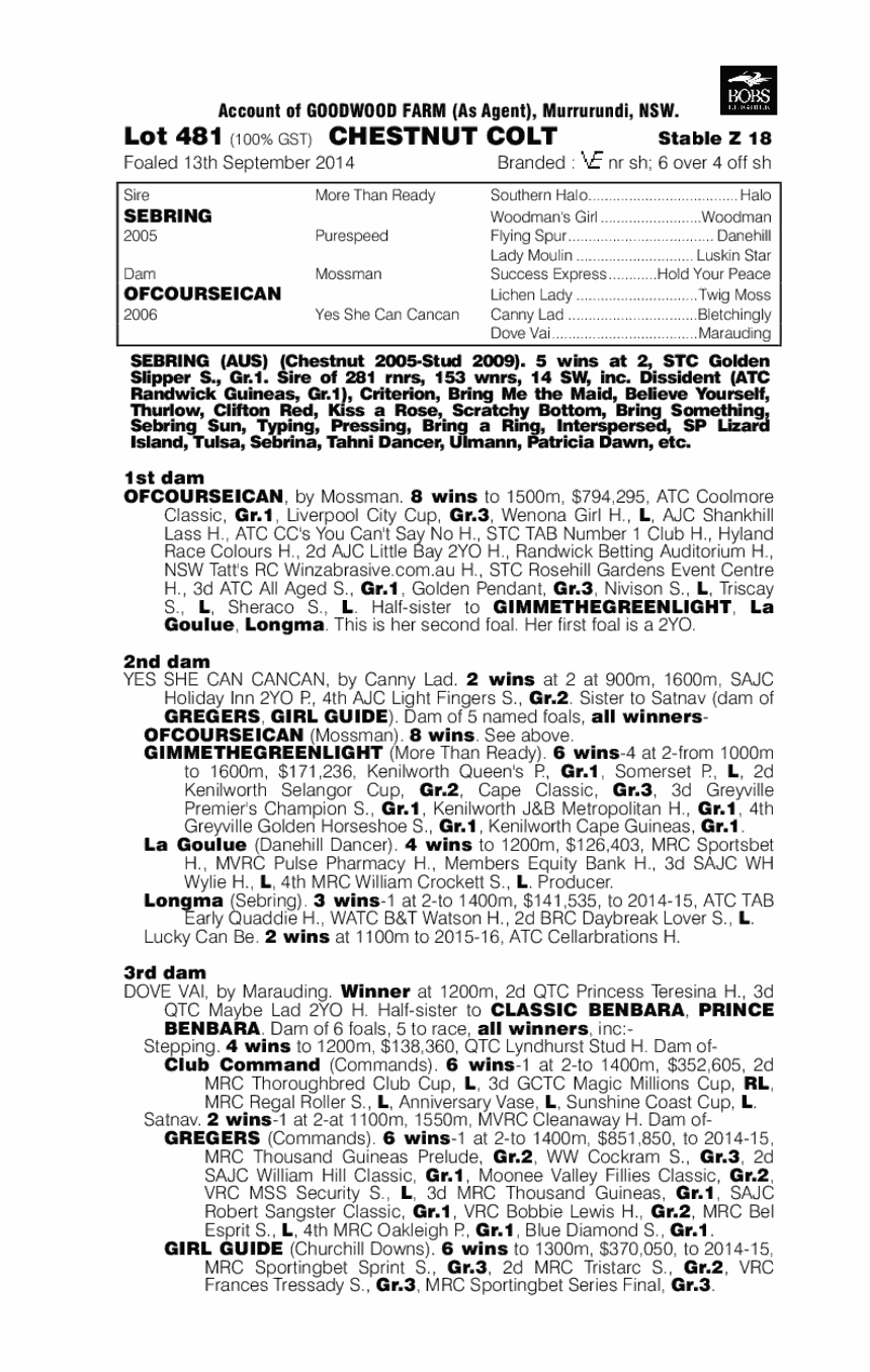 Sebring (AUS) / Ofcourseican (AUS) - pedigree
