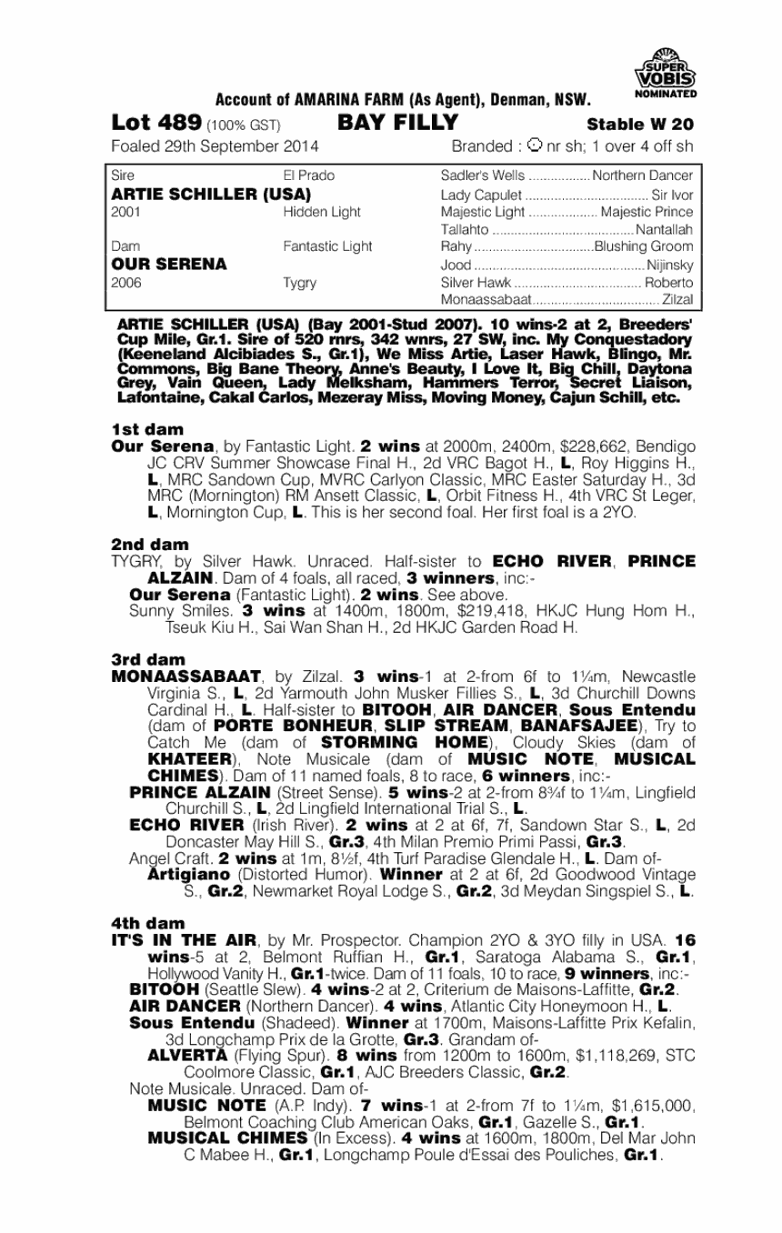 Artie Schiller (USA) / Our Serena (AUS) - pedigree