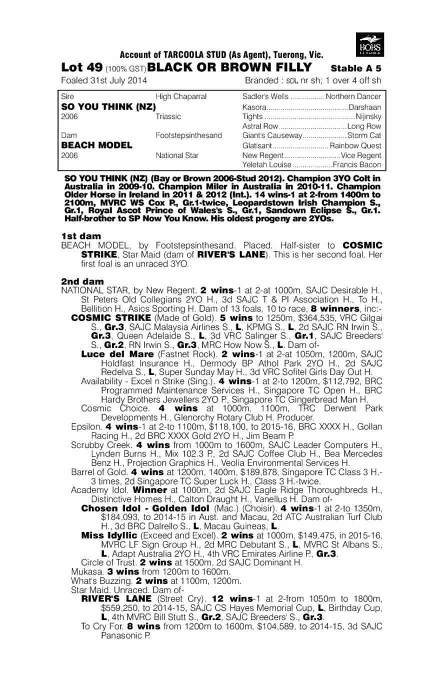 So You Think (NZ) / Beach Model (AUS) - pedigree