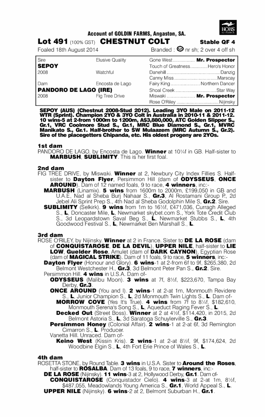 Sepoy (AUS) / Pandoro De Lago (IRE) - pedigree