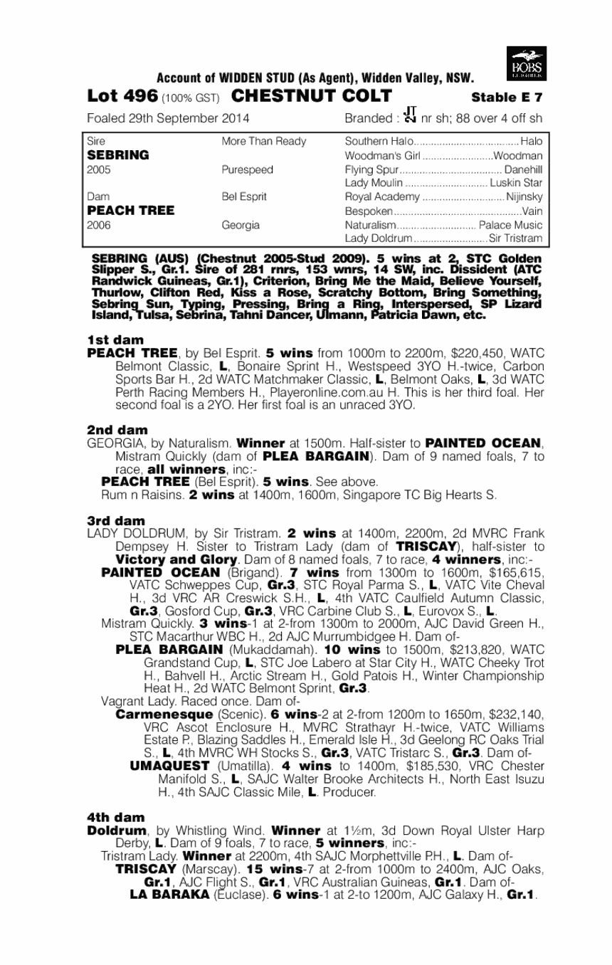 Sebring (AUS) / Peach Tree (AUS) - pedigree