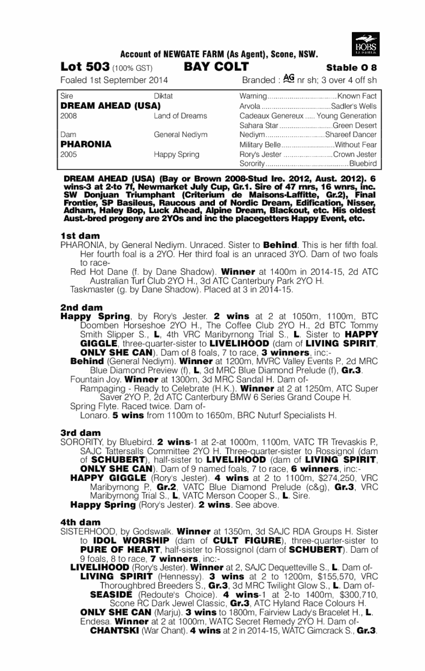 Dream Ahead (USA) / Pharonia (AUS) - pedigree