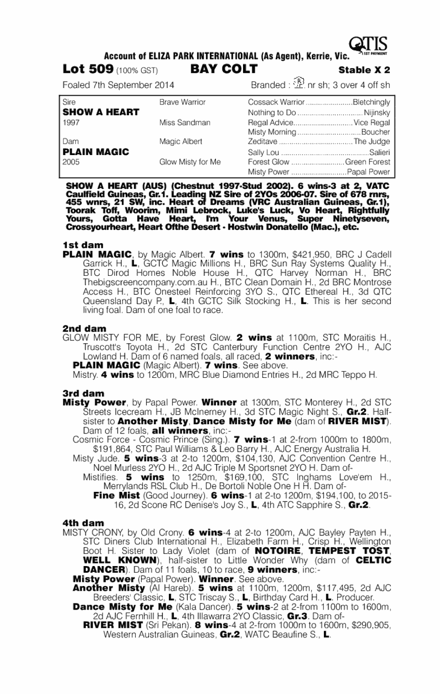 Show A Heart (AUS) / Plain Magic (AUS) - pedigree