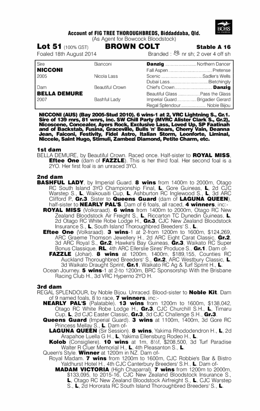 Nicconi (AUS) / Bella Demure (AUS) - pedigree