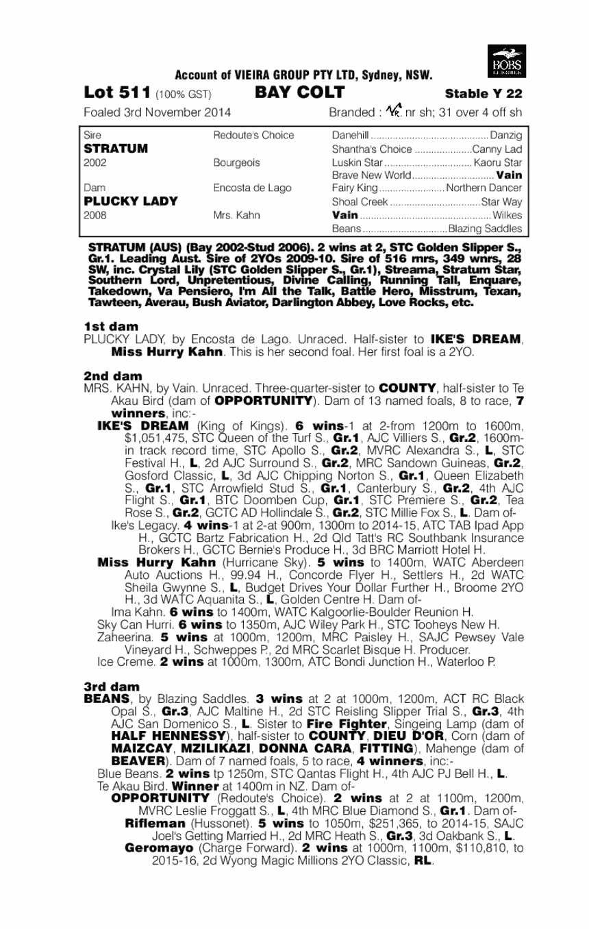 Stratum (AUS) / Plucky Lady (AUS) - pedigree