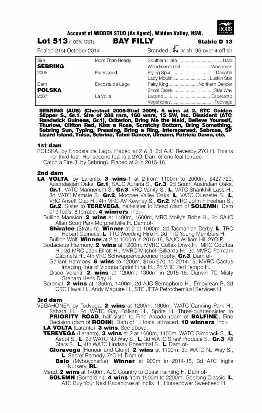 Sebring (AUS) / Polska (AUS) - pedigree