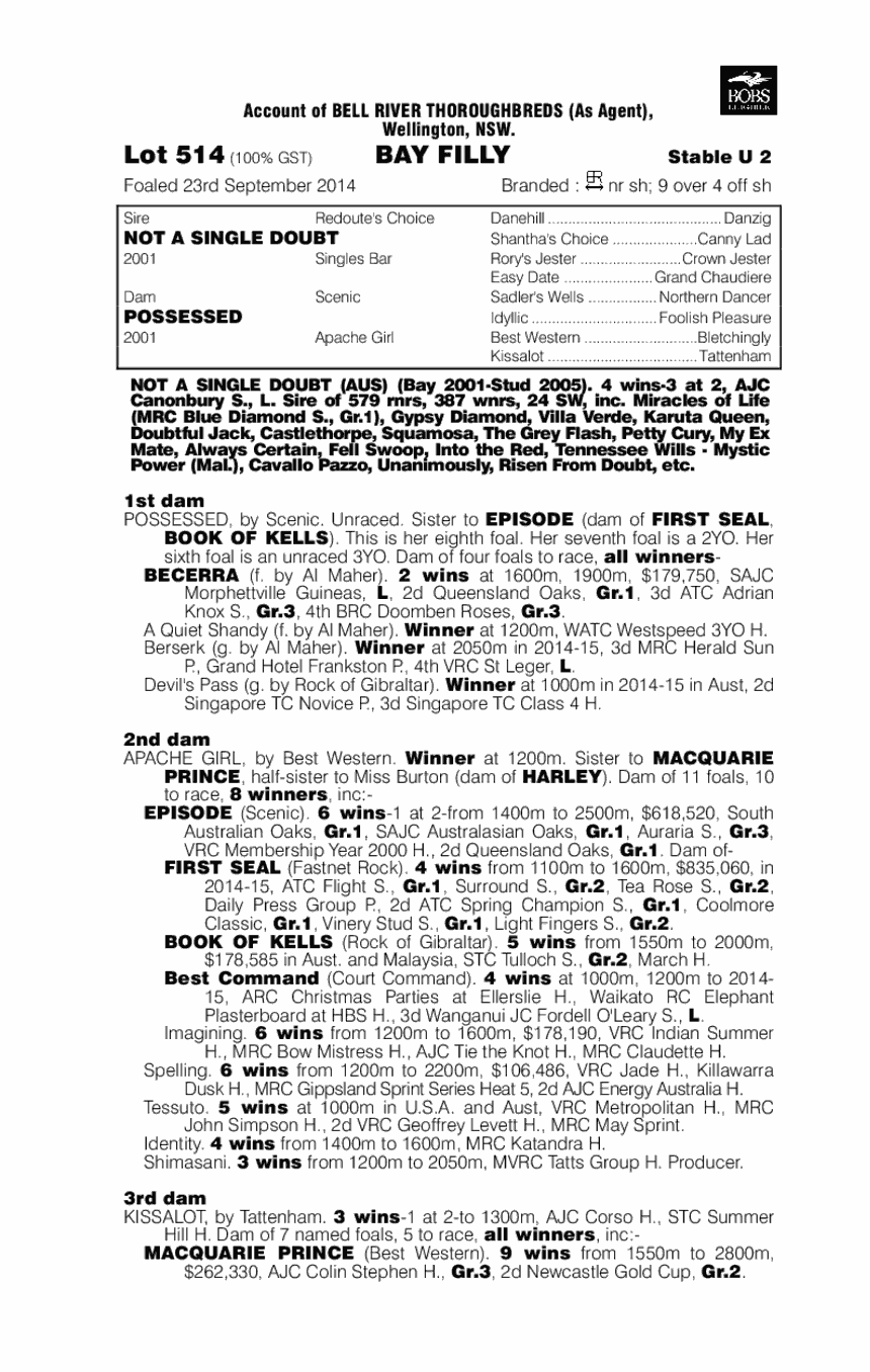 Not A Single Doubt (AUS) / Possessed (AUS) - pedigree