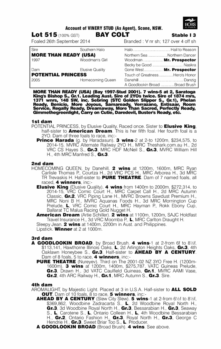 More Than Ready (USA) / Potential Princess (AUS) - pedigree