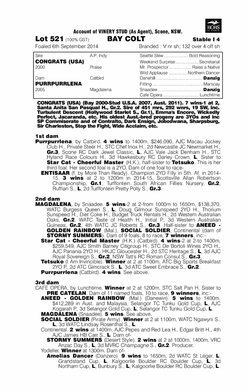 Congrats (USA) / Purrpurrlena (AUS) - pedigree