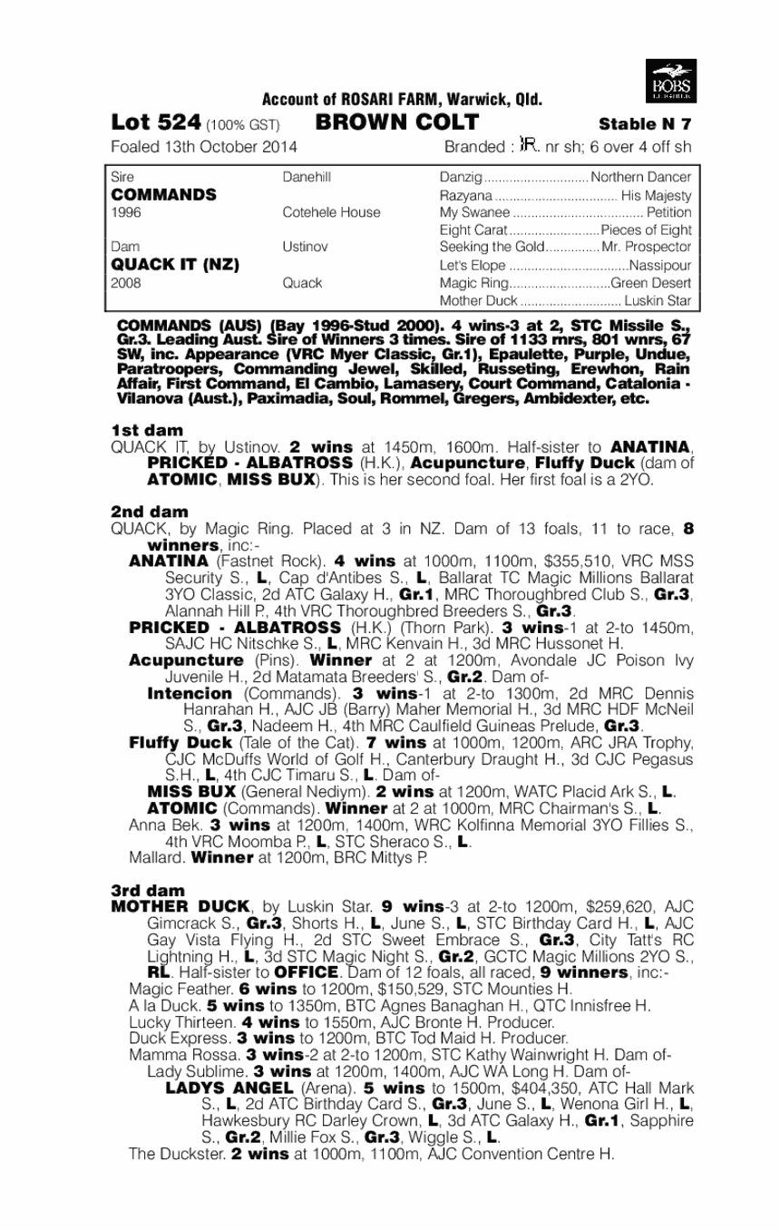 Commands (AUS) / Quack It (NZ) - pedigree