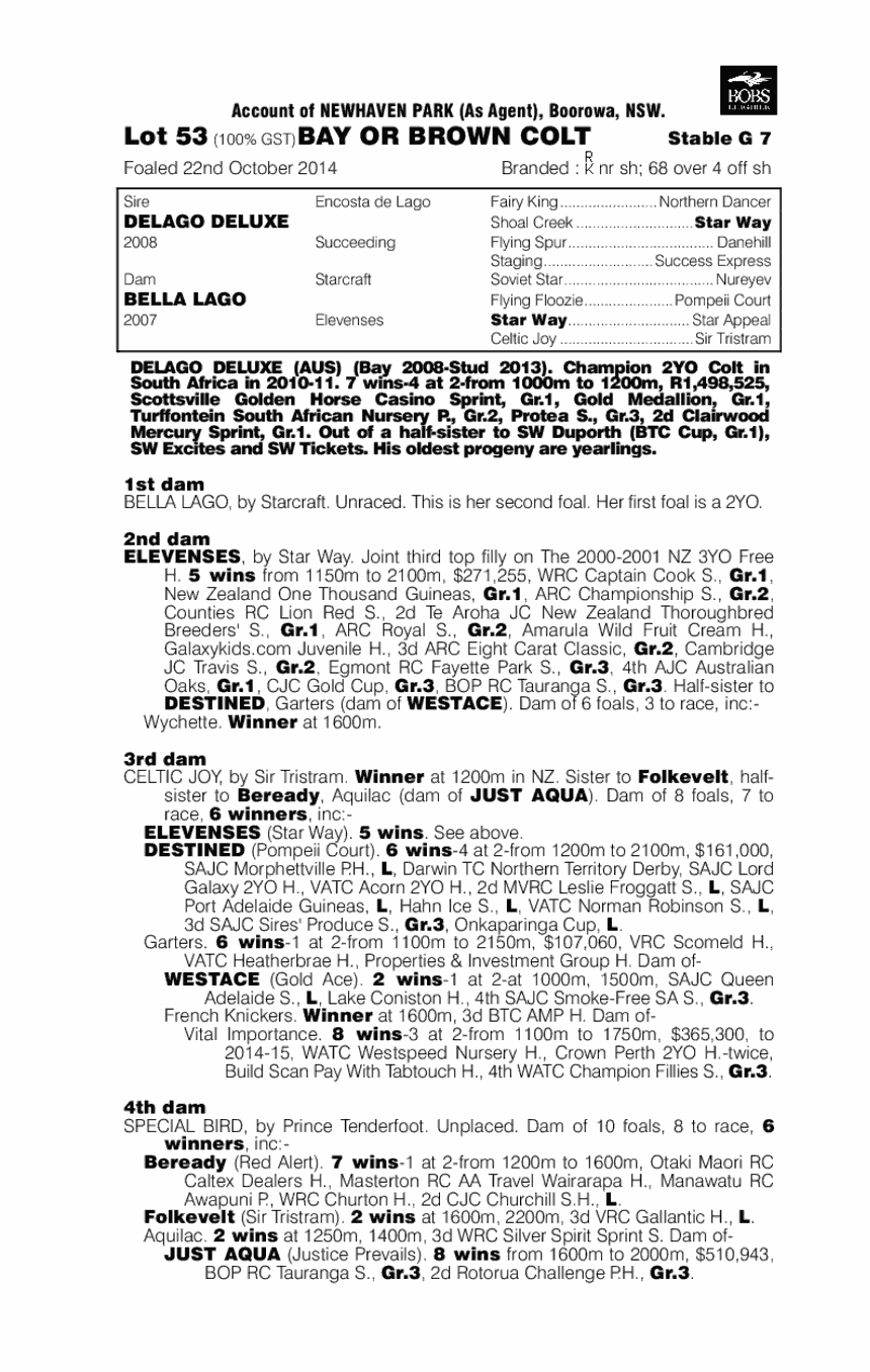 Delago Deluxe (AUS) / Bella Lago (AUS) - pedigree