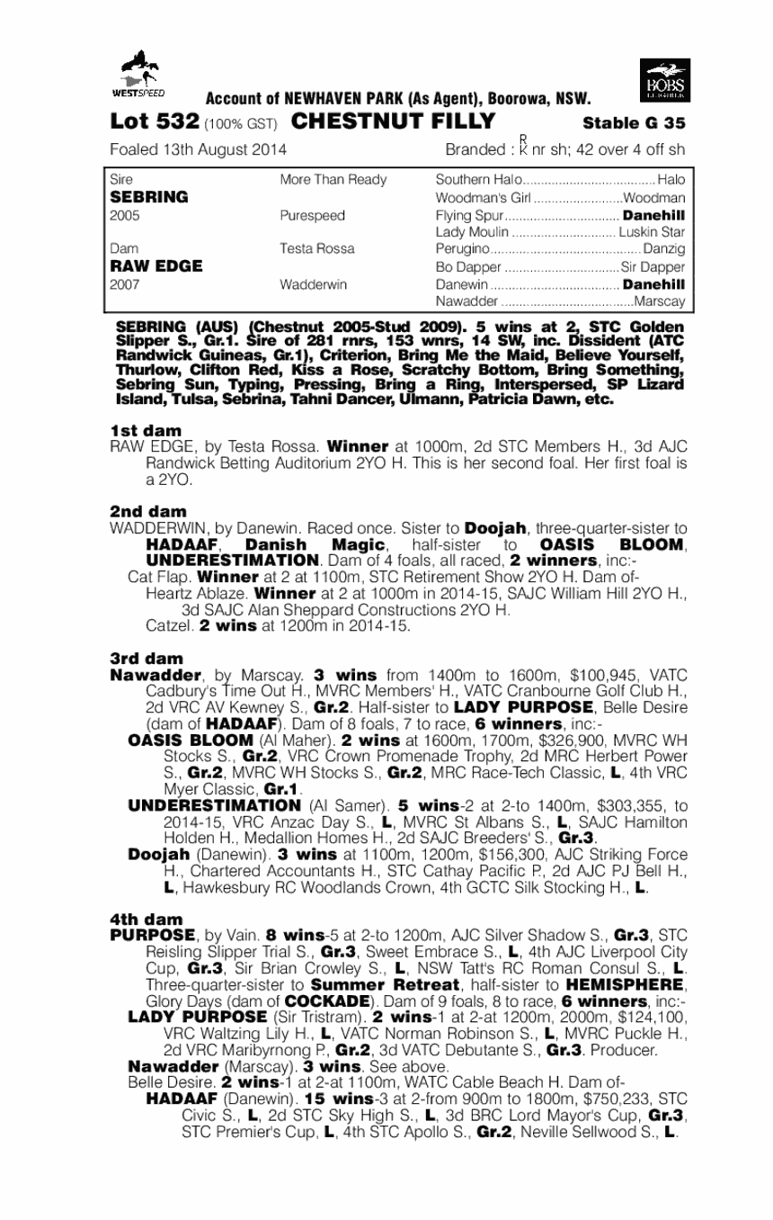 Sebring (AUS) / Raw Edge (AUS) - pedigree