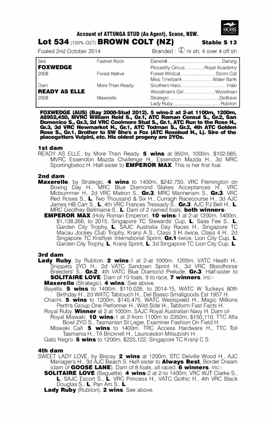Foxwedge (AUS) / Ready as Elle (AUS) - pedigree