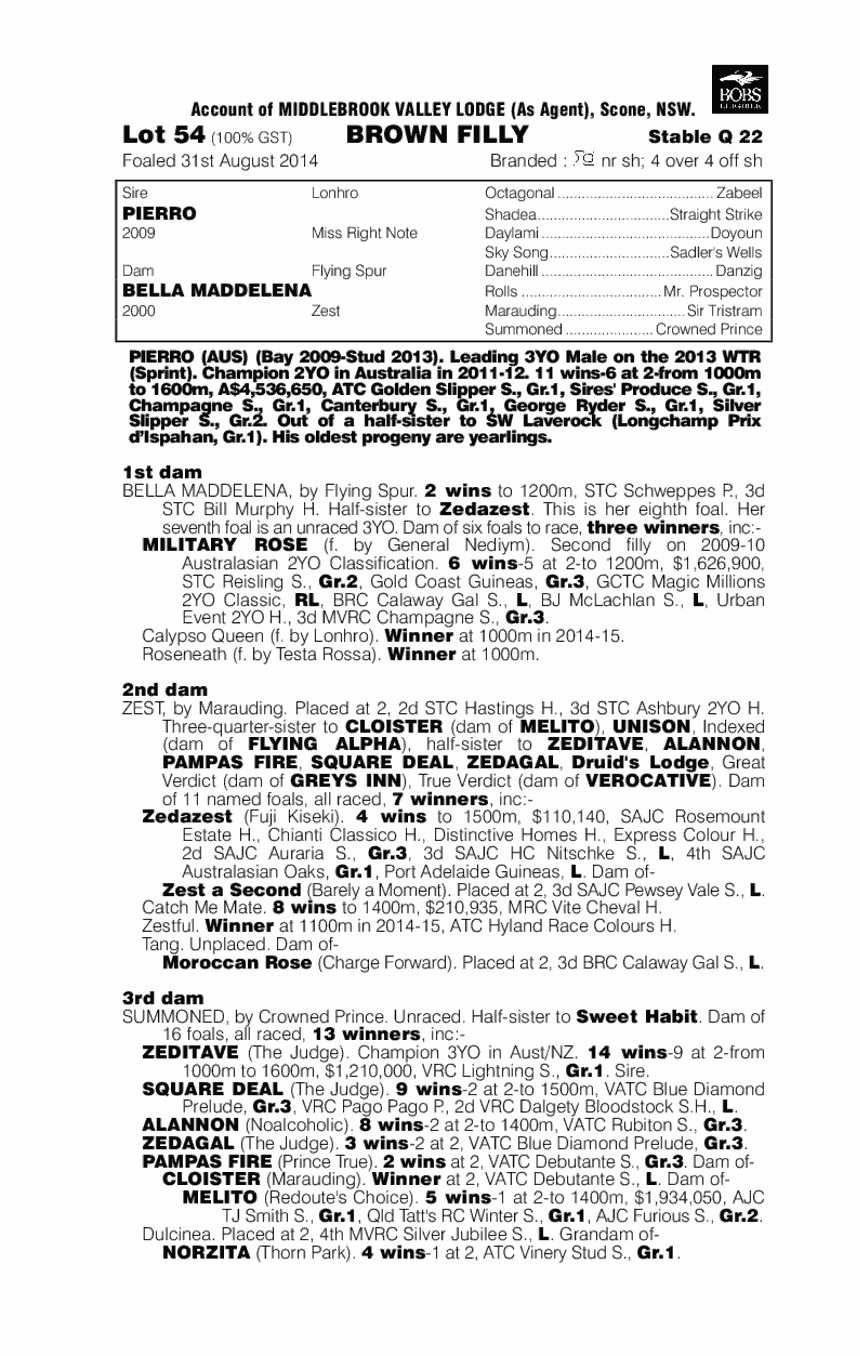 Pierro (AUS) / Bella Maddelena (AUS) - pedigree