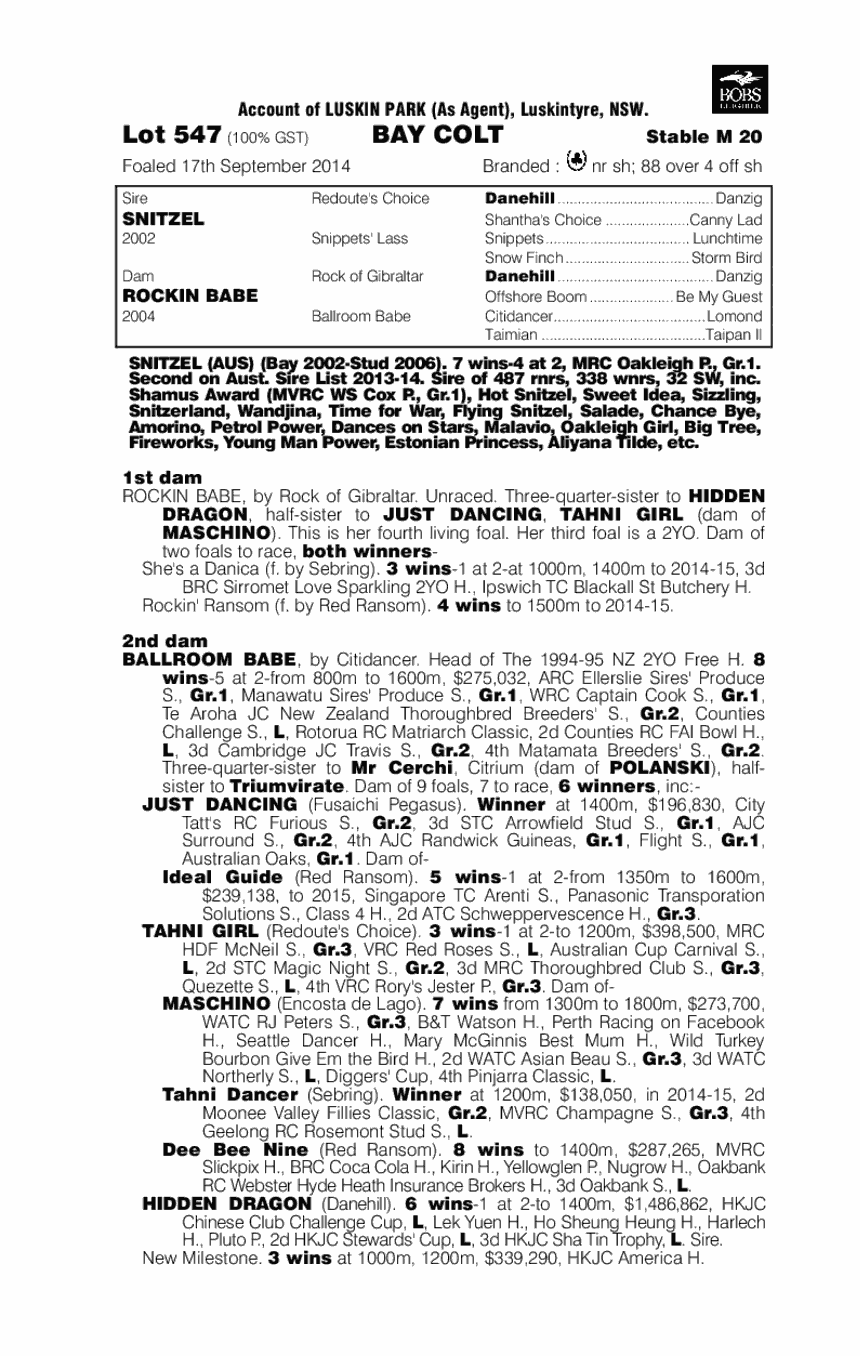 Snitzel (AUS) / Rockin Babe (AUS) - pedigree