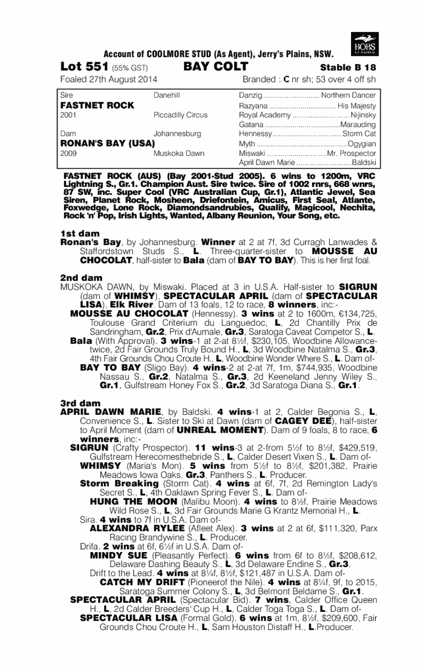 Fastnet Rock (AUS) / Ronan's Bay (USA) - pedigree