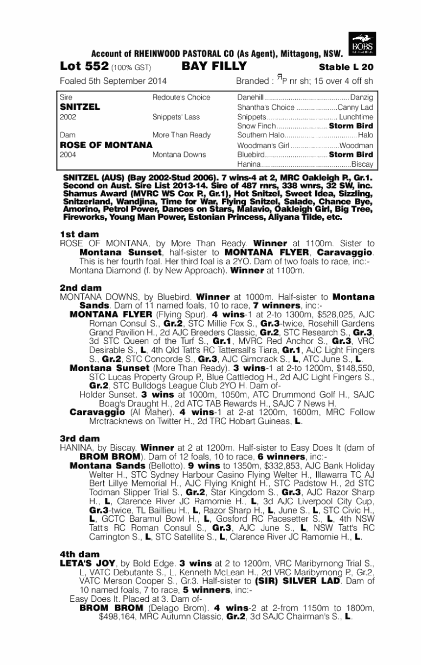 Snitzel (AUS) / Rose Of Montana (AUS) - pedigree