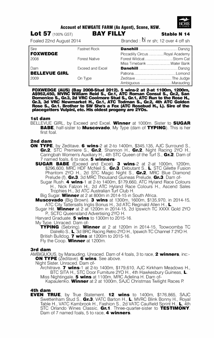 Foxwedge (AUS) / Bellevue Girl (AUS) - pedigree